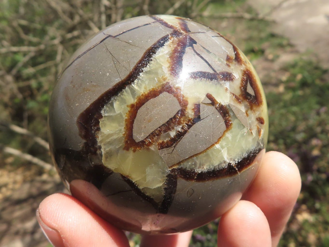 Polished Septarian (Calcite & Aragonite) Spheres x 4 From Mahajanga, Madagascar - TopRock