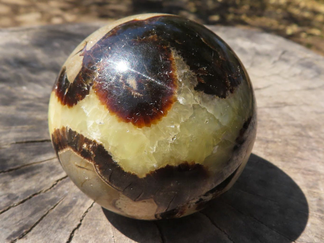 Polished Septarian (Calcite & Aragonite) Spheres x 4 From Mahajanga, Madagascar - TopRock
