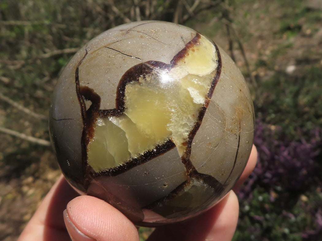 Polished Septarian (Calcite & Aragonite) Spheres x 4 From Mahajanga, Madagascar - TopRock