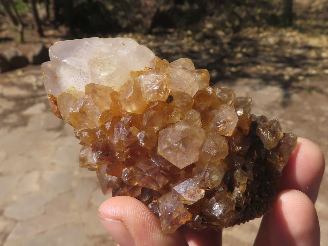 Natural Mixed Selection Of Minerals x 6 From Southern Africa - TopRock