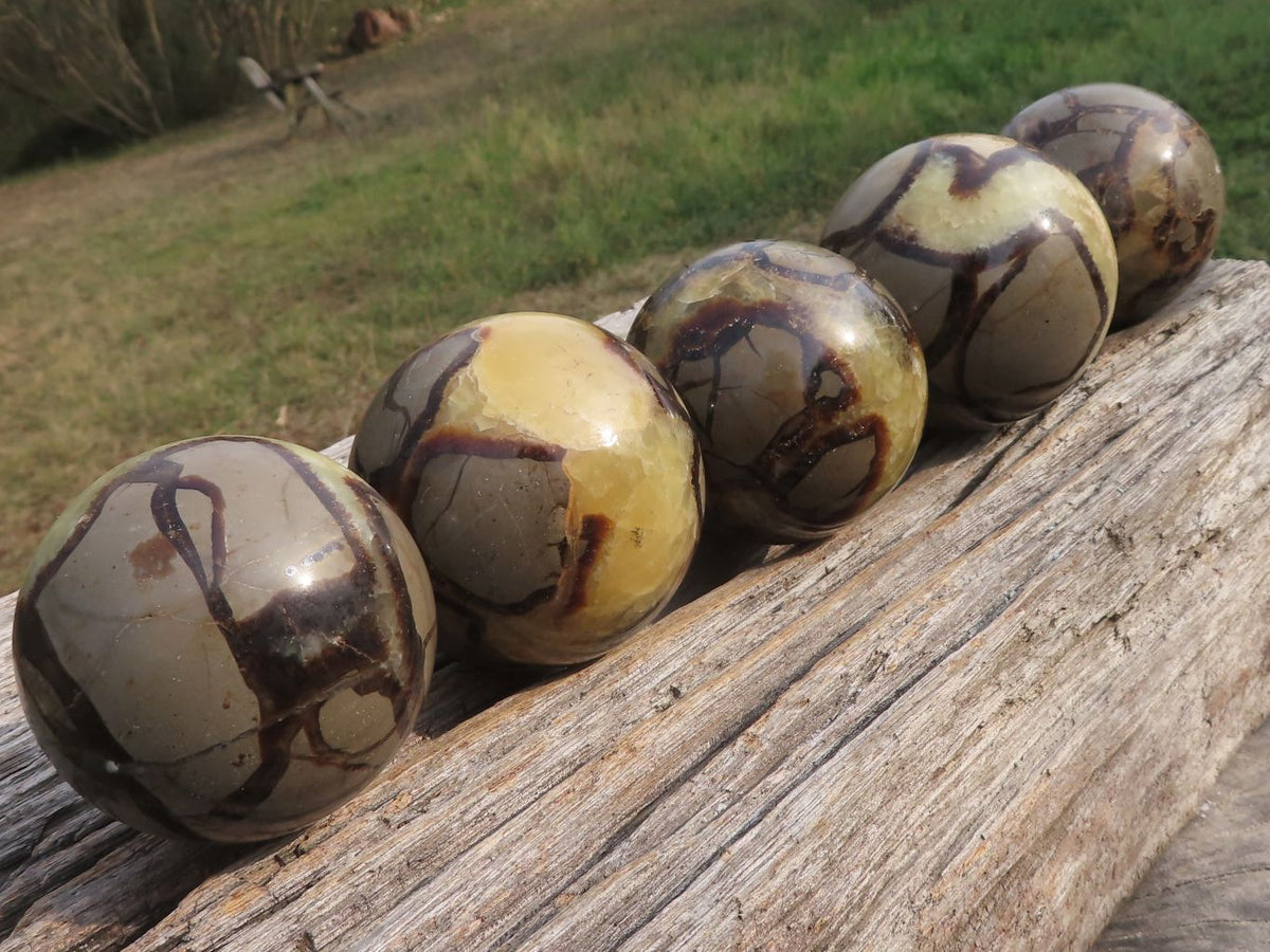 Polished Septaria (Calcite & Aragonite) Spheres x 5 From Madagascar - TopRock
