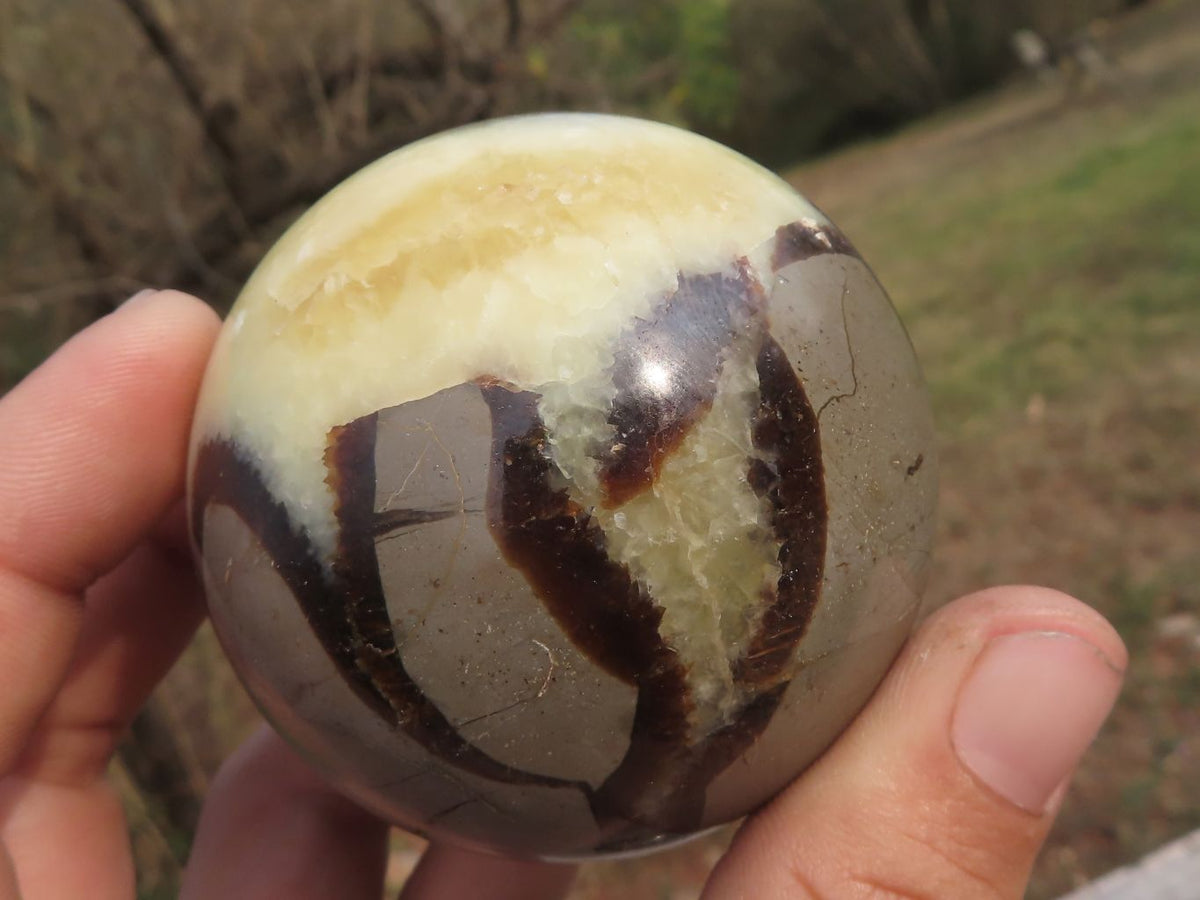 Polished Septaria (Calcite & Aragonite) Spheres x 5 From Madagascar - TopRock