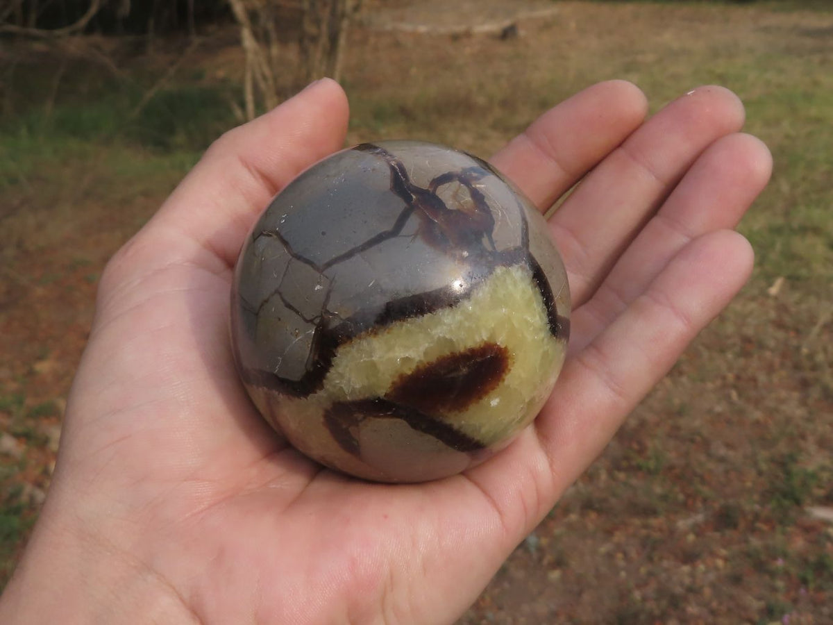 Polished Septaria (Calcite & Aragonite) Spheres x 5 From Madagascar - TopRock