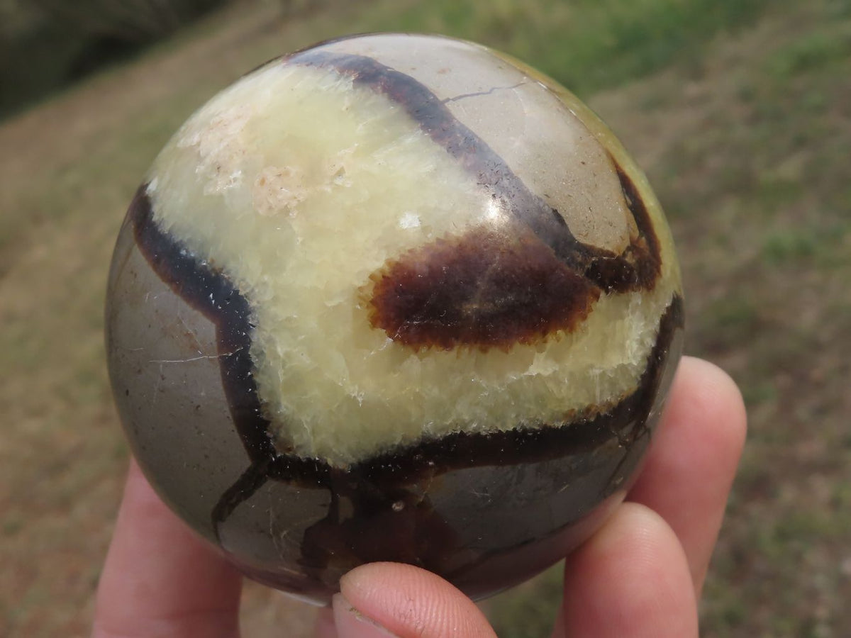 Polished Septaria (Calcite & Aragonite) Spheres x 5 From Madagascar - TopRock