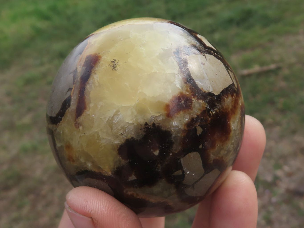 Polished Septaria (Calcite & Aragonite) Spheres x 5 From Madagascar - TopRock