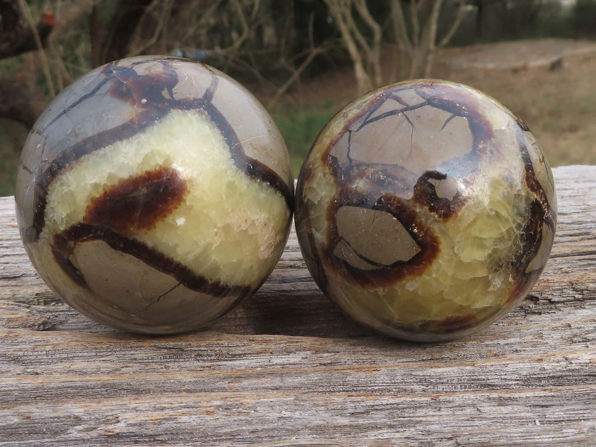 Polished Septaria (Calcite & Aragonite) Spheres x 5 From Madagascar - TopRock