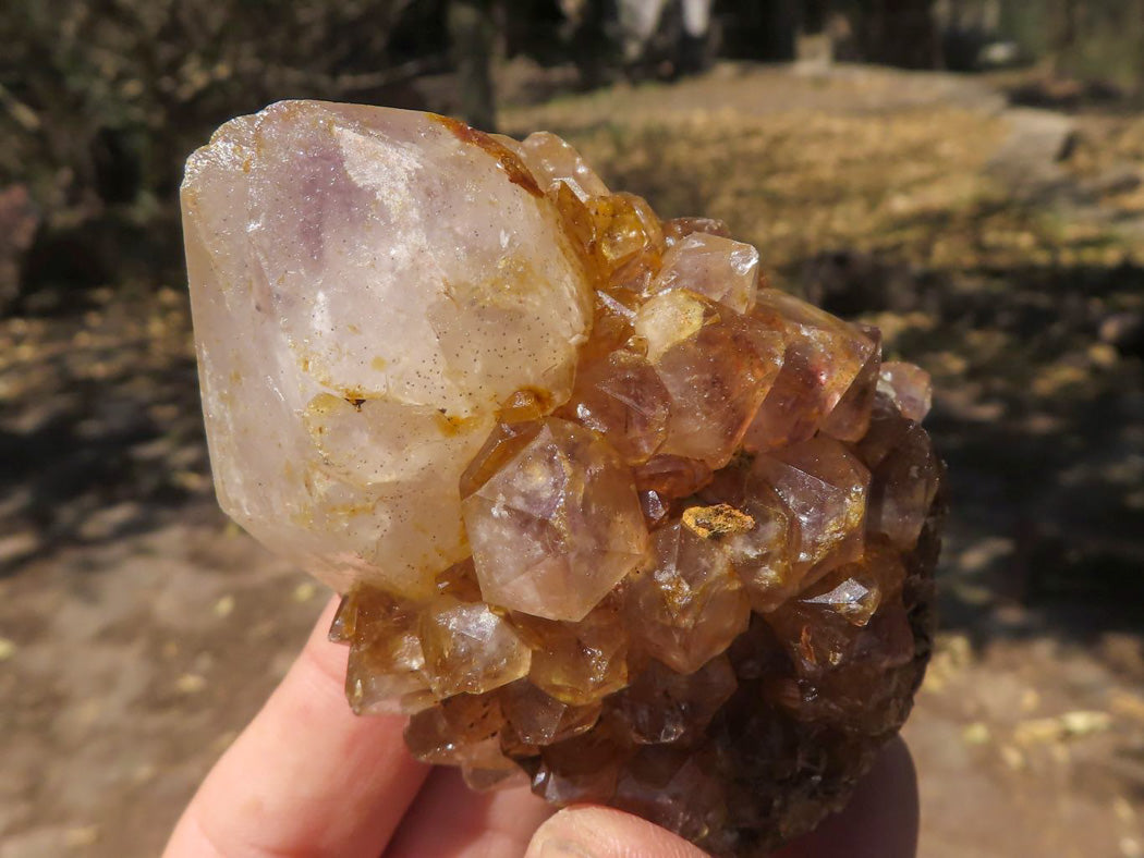 Natural Mixed Selection Of Minerals x 6 From Southern Africa - TopRock
