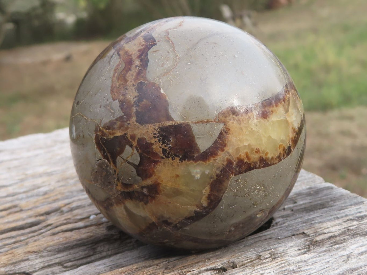 Polished Septaria (Calcite & Aragonite) Spheres x 5 From Madagascar - TopRock