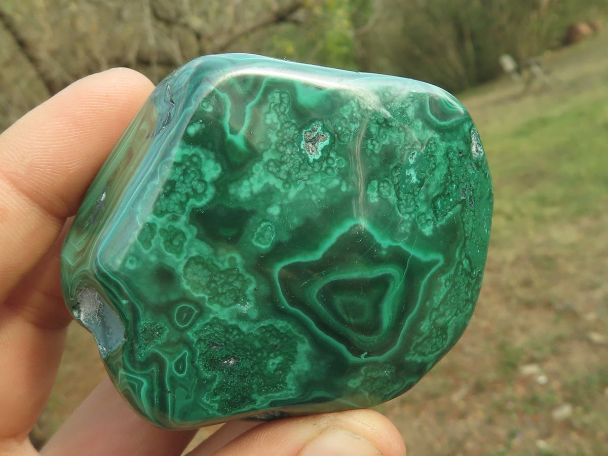 Polished Malachite Free Forms With Stunning Flower & Banding Patterns x 6 From Congo - TopRock