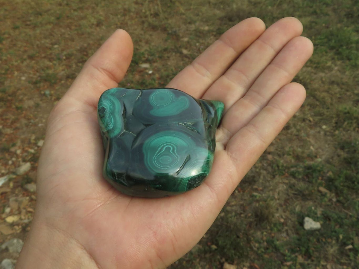 Polished Malachite Free Forms With Stunning Flower & Banding Patterns x 6 From Congo - TopRock