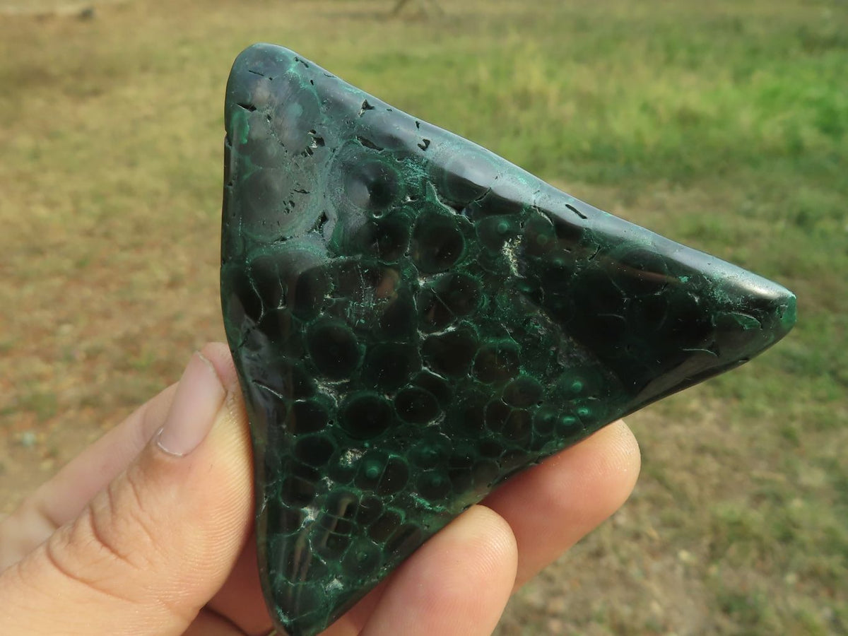 Polished Malachite Free Forms With Stunning Flower & Banding Patterns x 6 From Congo - TopRock