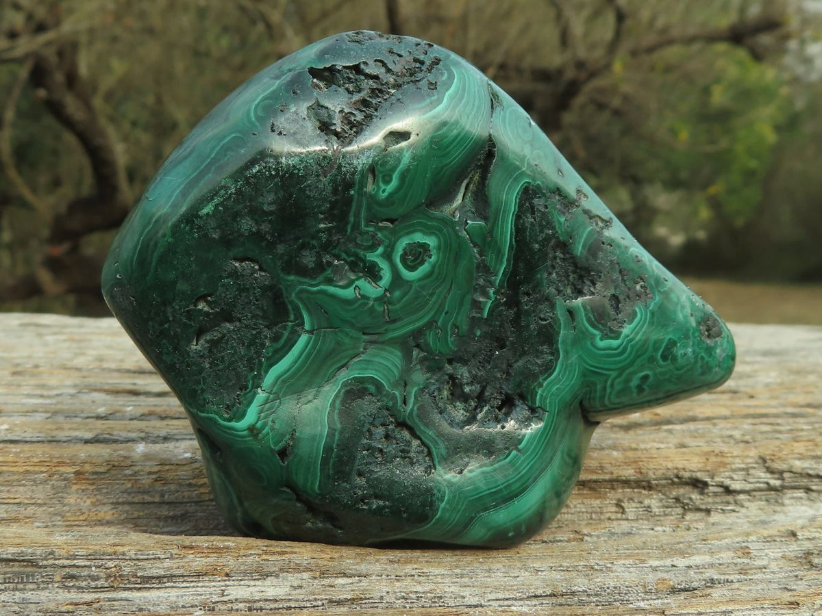 Polished Malachite Free Forms With Stunning Flower & Banding Patterns x 6 From Congo - TopRock