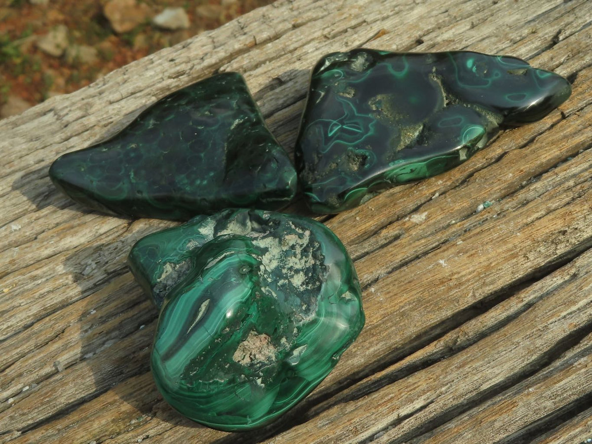 Polished Malachite Free Forms With Stunning Flower & Banding Patterns x 6 From Congo - TopRock