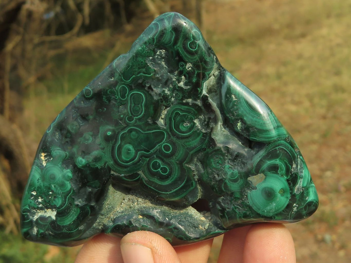 Polished Malachite Free Forms With Stunning Flower & Banding Patterns x 6 From Congo - TopRock