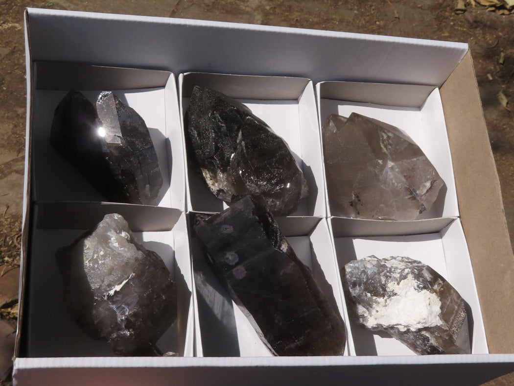 Natural New Smokey Morion Phantom Quartz Crystals x 6 From Mt. Mulanje, Malawi - TopRock
