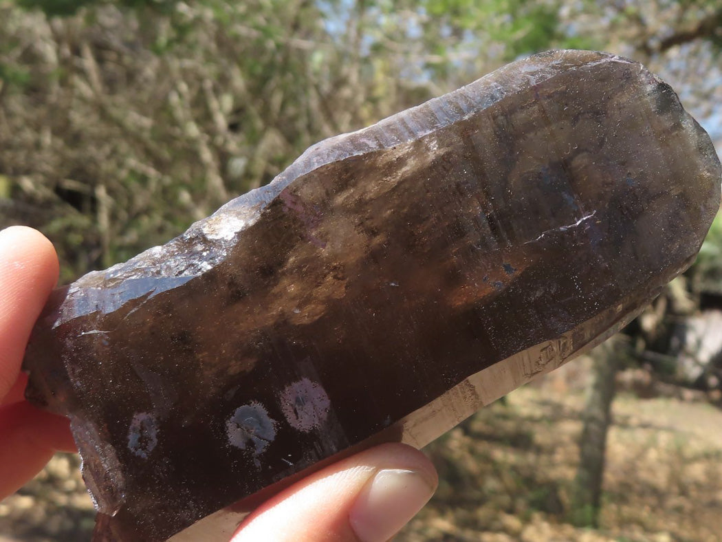 Natural New Smokey Morion Phantom Quartz Crystals x 6 From Mt. Mulanje, Malawi - TopRock