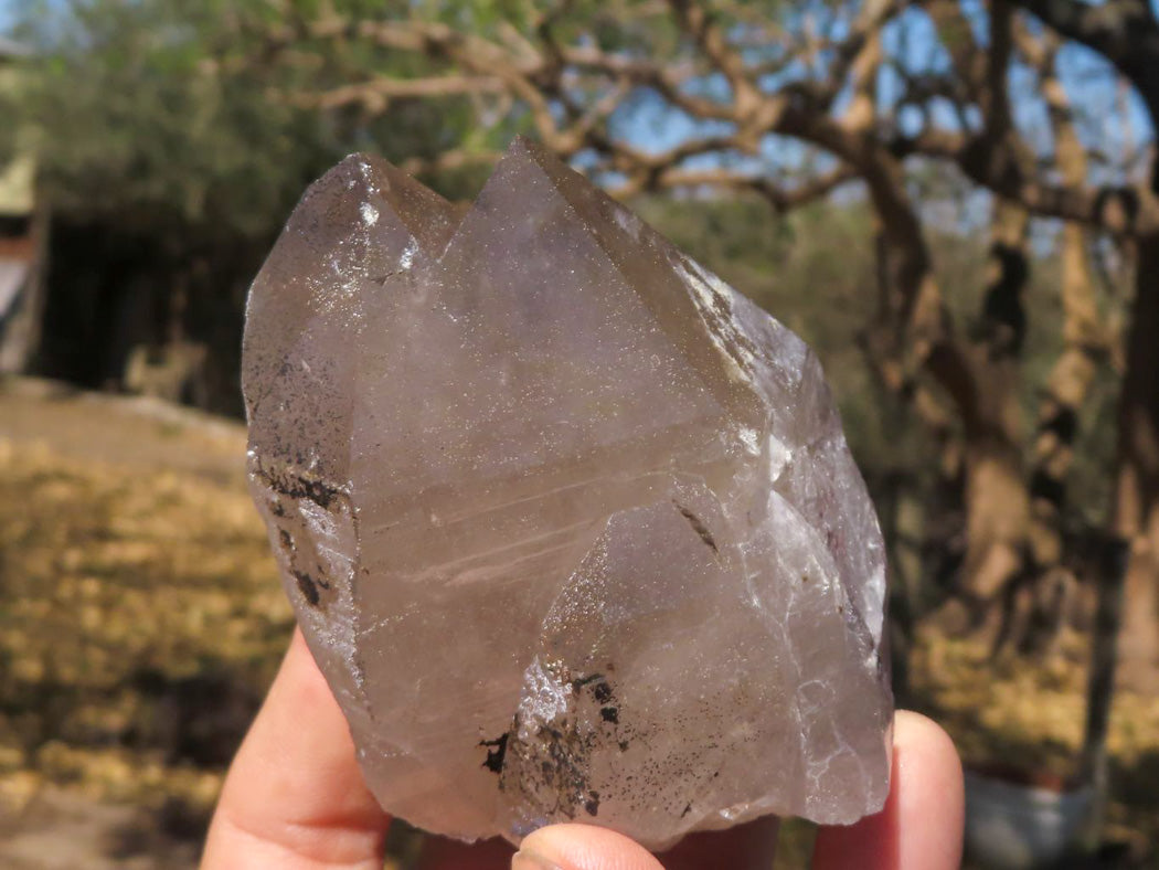 Natural New Smokey Morion Phantom Quartz Crystals x 6 From Mt. Mulanje, Malawi - TopRock
