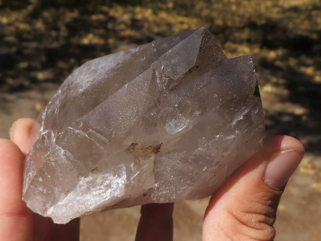 Natural New Smokey Morion Phantom Quartz Crystals x 6 From Mt. Mulanje, Malawi - TopRock
