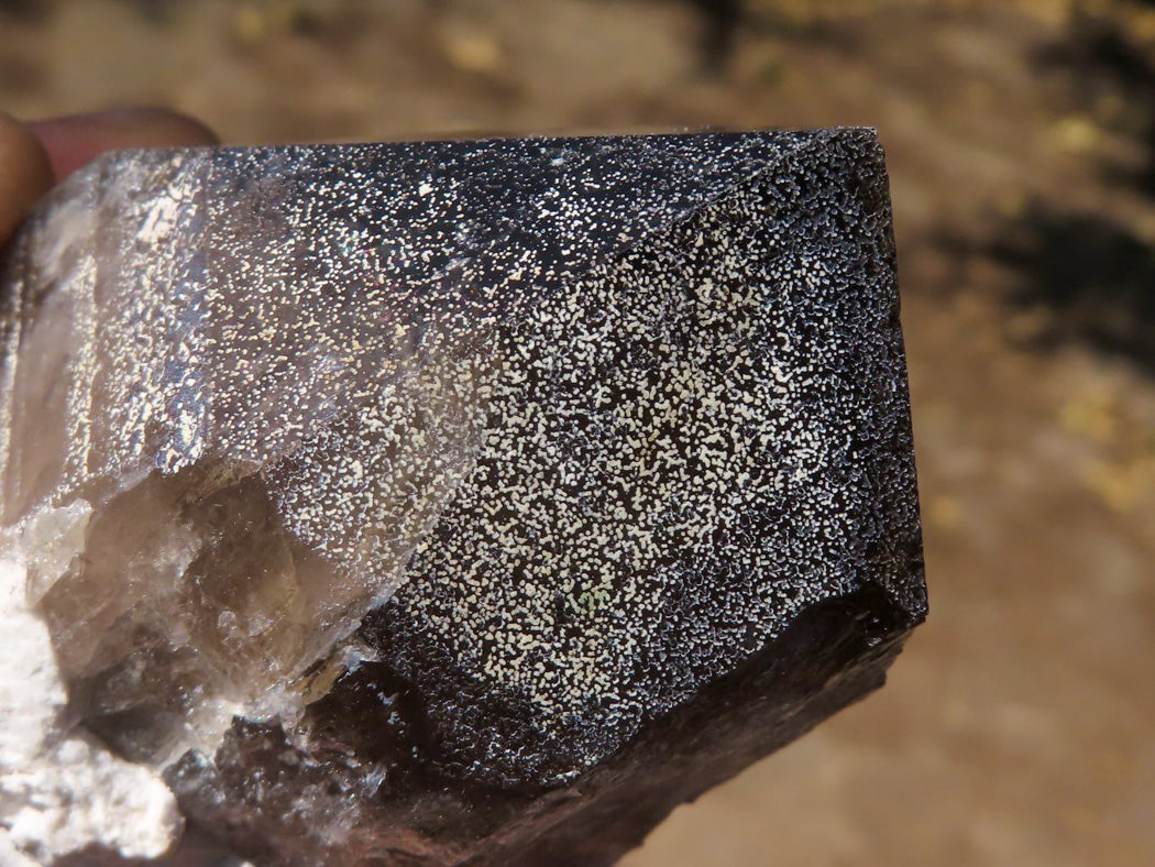Natural New Smokey Morion Phantom Quartz Crystals x 6 From Mt. Mulanje, Malawi - TopRock