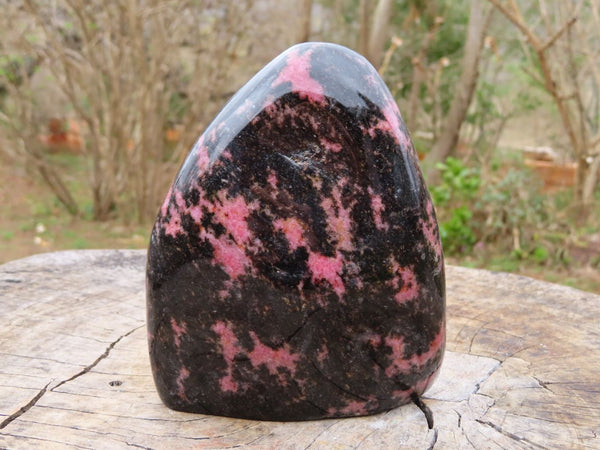 Polished Rhodonite Standing Free Form x 1 From Ambindavato, Madagascar - TopRock