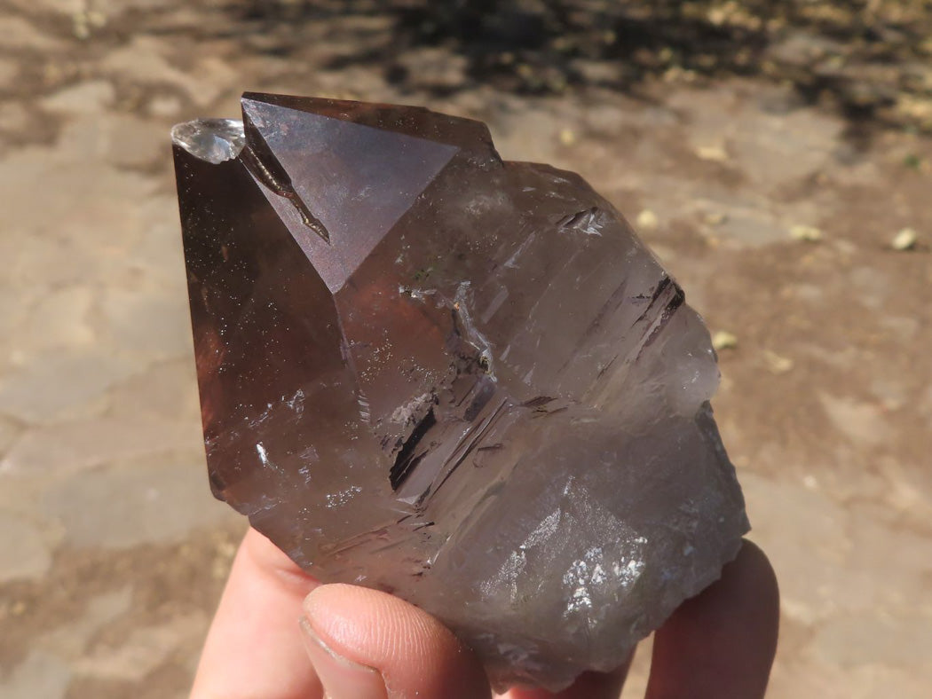 Natural New Smokey Morion Phantom Quartz Crystals x 6 From Mt. Mulanje, Malawi - TopRock
