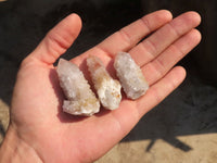 Natural Mixed Spirit Quartz Crystals x 70 From Boekenhouthoek, South Africa - Toprock Gemstones and Minerals