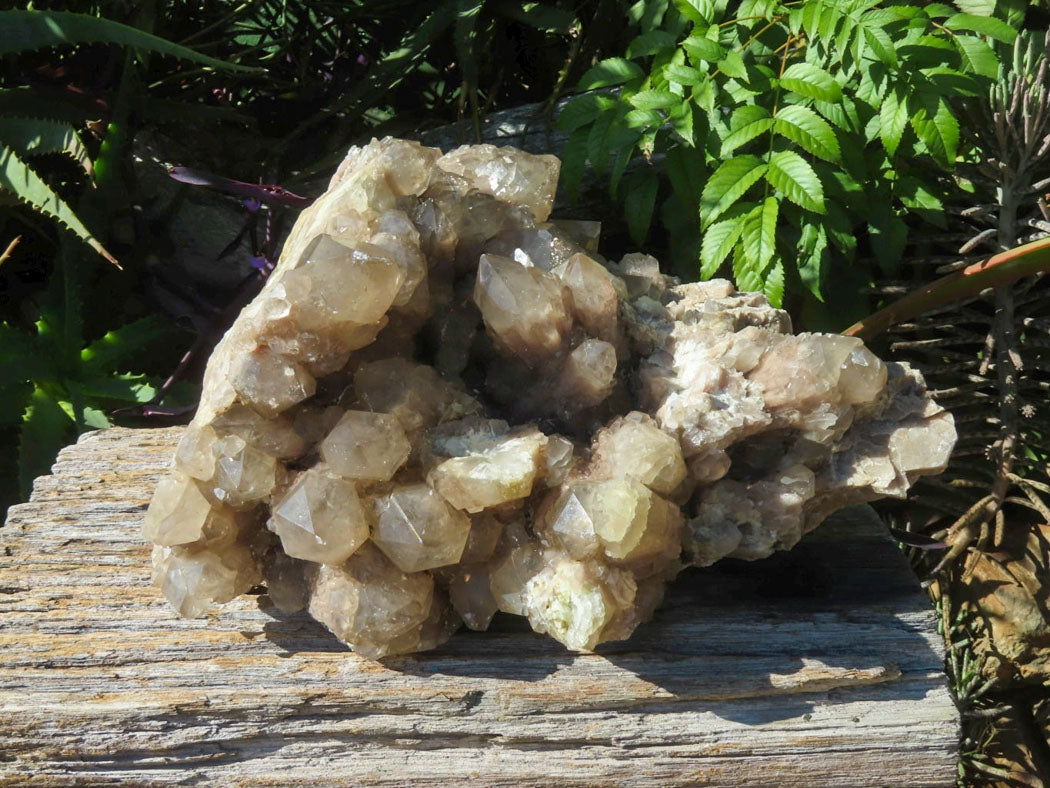 Natural Extra Large White Phantom Smokey Quartz Cluster x 1 From Luena, Congo - TopRock