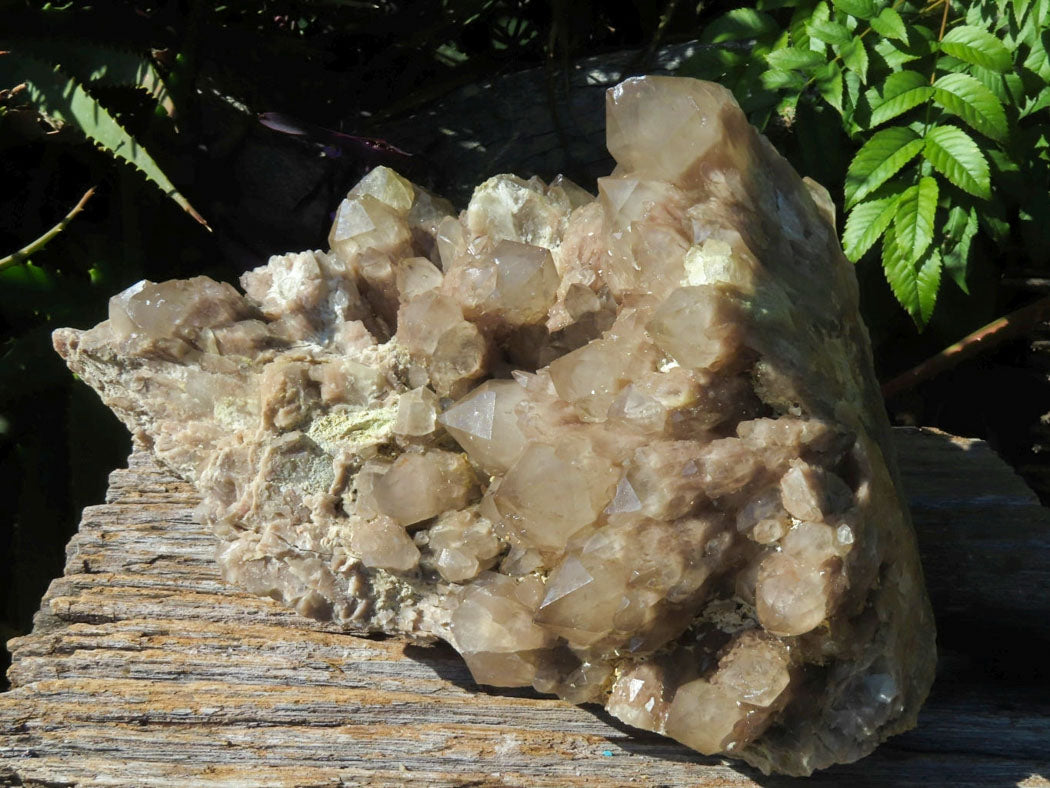 Natural Extra Large White Phantom Smokey Quartz Cluster x 1 From Luena, Congo - TopRock