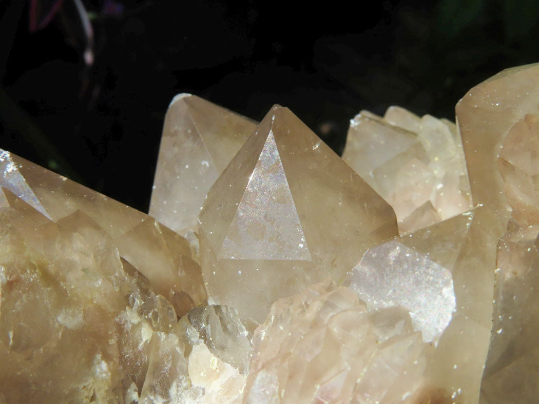 Natural Extra Large White Phantom Smokey Quartz Cluster x 1 From Luena, Congo - TopRock