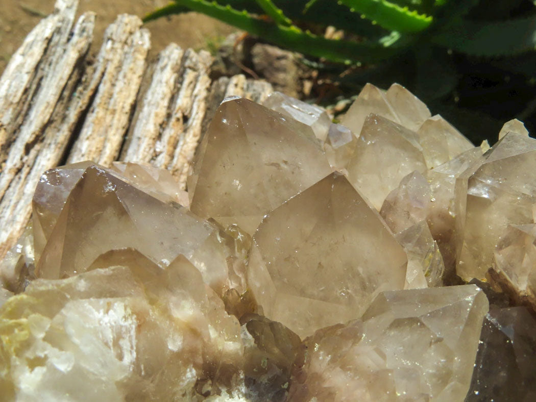 Natural Extra Large White Phantom Smokey Quartz Cluster x 1 From Luena, Congo - TopRock