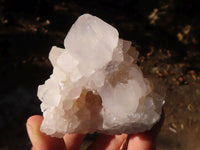 Natural White Cactus Flower Spirit Quartz Specimens  x 6 From Boekenhouthoek, South Africa - Toprock Gemstones and Minerals