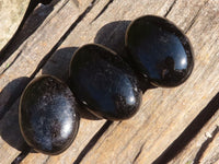 Polished Schorl Black Tourmaline Palm Stones  x 12 From Madagascar - Toprock Gemstones and Minerals