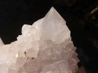 Natural White Cactus Flower Spirit Quartz Specimens  x 6 From Boekenhouthoek, South Africa - Toprock Gemstones and Minerals