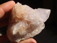 Natural White Cactus Flower Spirit Quartz Specimens  x 6 From Boekenhouthoek, South Africa - Toprock Gemstones and Minerals