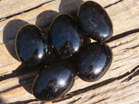 Polished Schorl Black Tourmaline Palm Stones  x 12 From Madagascar - Toprock Gemstones and Minerals