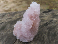 Natural Pale Cactus Flower Spirit Quartz Crystals  x 62 From Boekenhouthoek, South Africa - TopRock