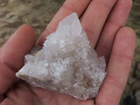Natural Pale Cactus Flower Spirit Quartz Crystals  x 62 From Boekenhouthoek, South Africa - TopRock