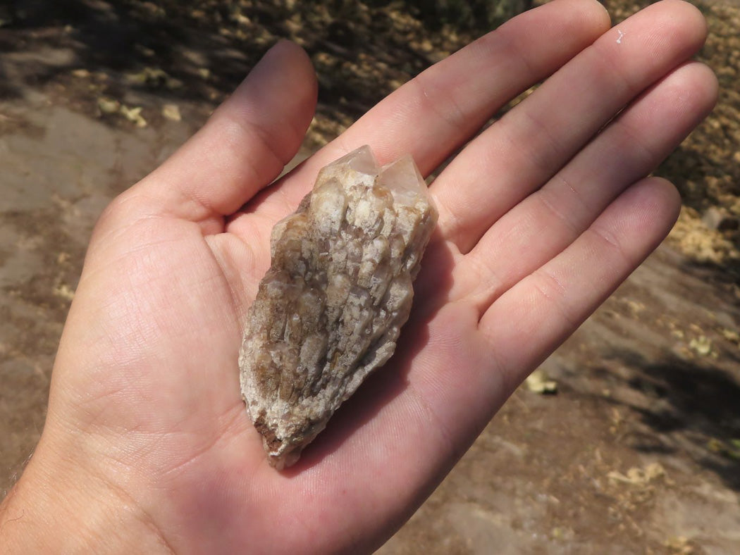 Natural Single Pineapple Quartz Crystals x 35 From Antsirabe, Madagascar - TopRock
