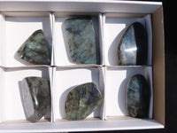 Polished Labradorite Standing Free Forms With Blue & Gold Flash  x 6 From Tulear, Madagascar - Toprock Gemstones and Minerals