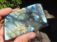 Polished Labradorite Standing Free Forms With Blue & Gold Flash  x 6 From Tulear, Madagascar - Toprock Gemstones and Minerals
