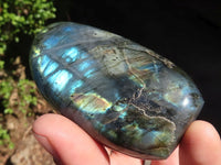 Polished Labradorite Standing Free Forms With Blue & Gold Flash  x 6 From Tulear, Madagascar - Toprock Gemstones and Minerals