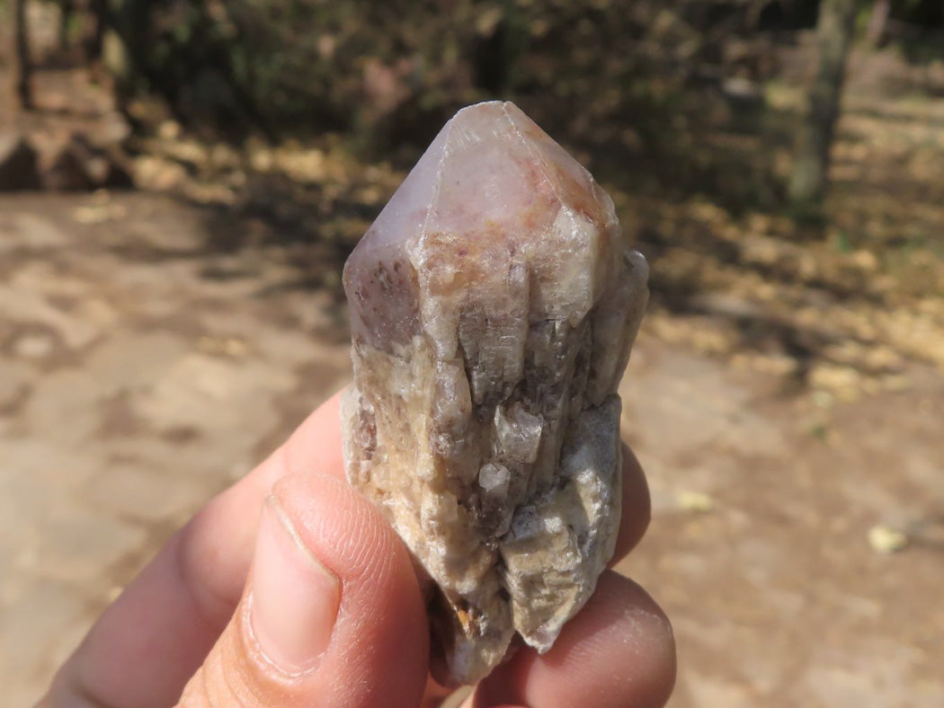 Natural Single Pineapple Quartz Crystals x 35 From Antsirabe, Madagascar - TopRock