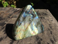 Polished Labradorite Standing Free Forms With Blue & Gold Flash  x 6 From Tulear, Madagascar - Toprock Gemstones and Minerals