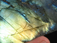 Polished Labradorite Standing Free Forms With Blue & Gold Flash  x 6 From Tulear, Madagascar - Toprock Gemstones and Minerals
