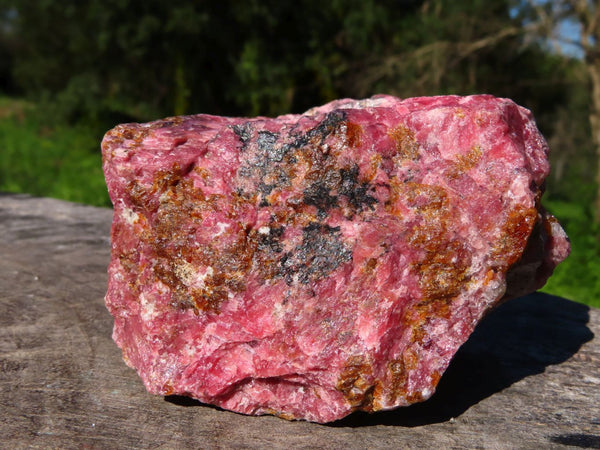 Natural Rhodonite Cobbed Pieces x 2 From Zimbabwe - TopRock