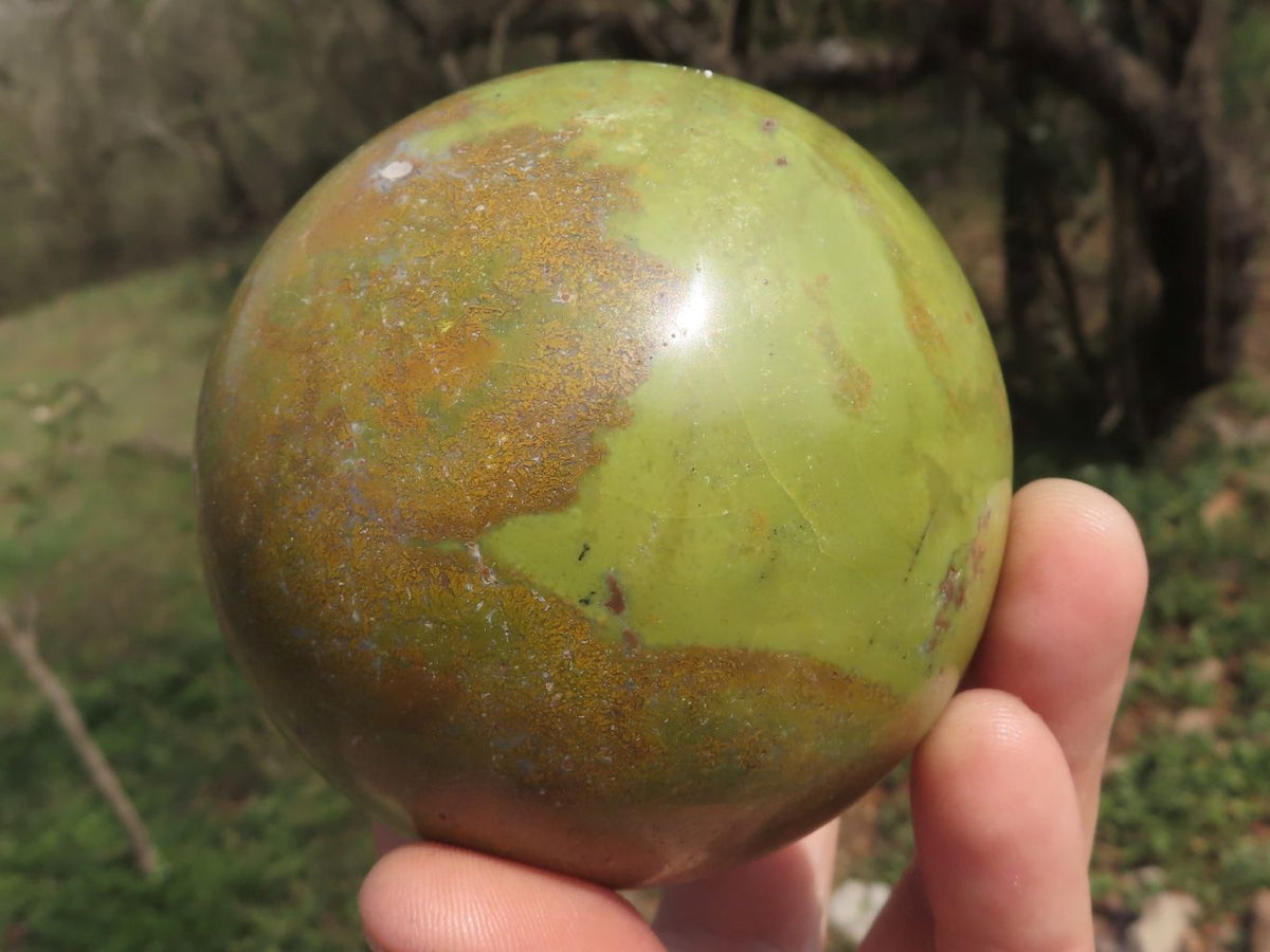 Polished Larger Light Weight Green Opal with Brown Patterns Spheres x 2 From Madagascar - TopRock
