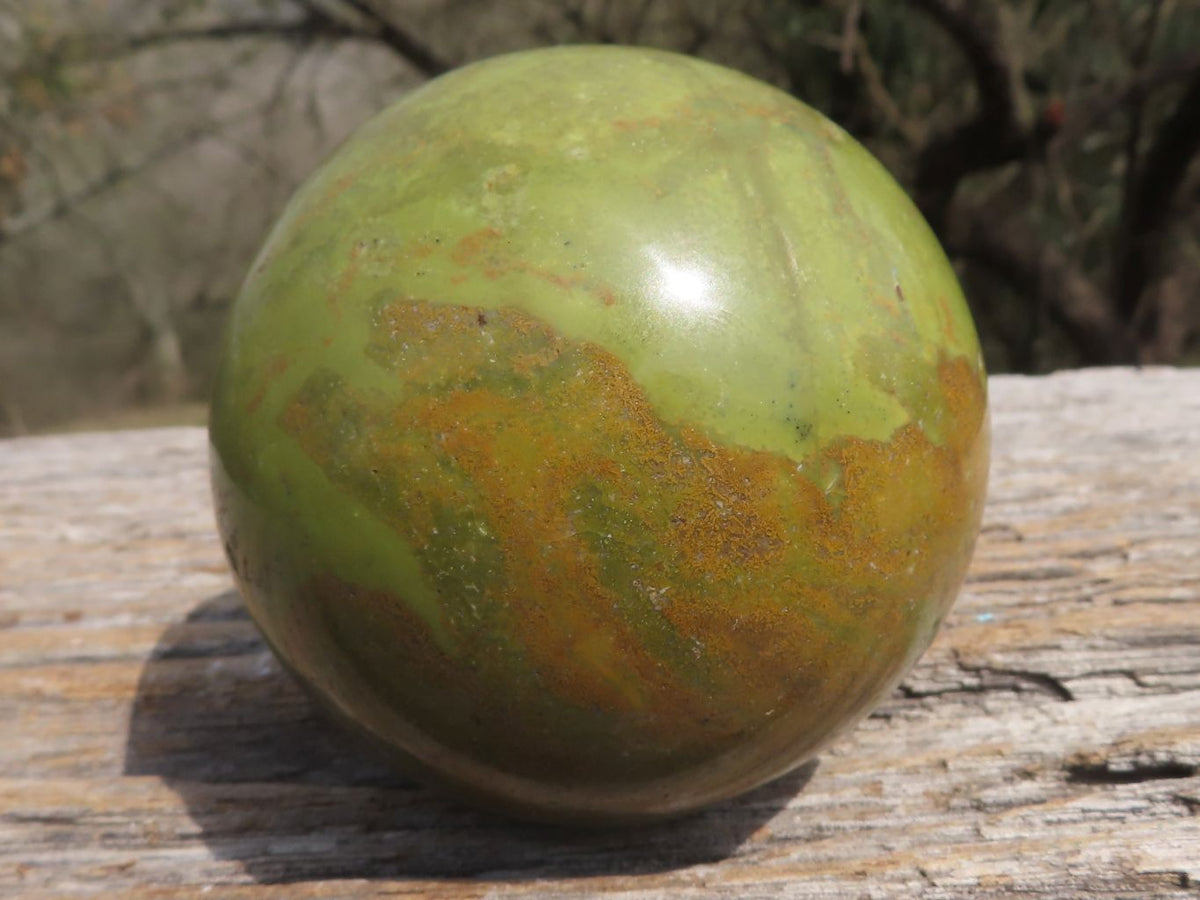 Polished Larger Light Weight Green Opal with Brown Patterns Spheres x 2 From Madagascar - TopRock