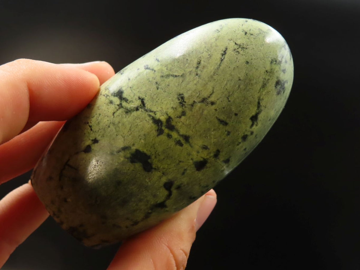 Polished Leopard Stone Standing Free Forms x 3 From Zimbabwe - TopRock