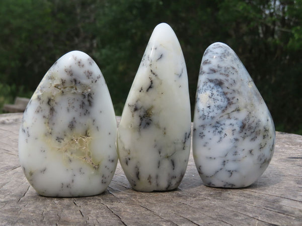 Polished Dendritic White Opal Standing Free Forms x 4 From Madagascar - TopRock