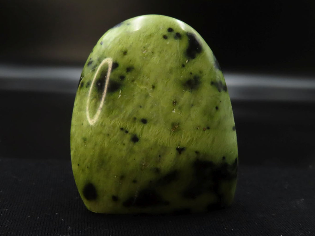 Polished Leopard Stone Standing Free Forms x 3 From Zimbabwe - TopRock